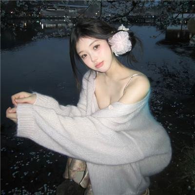 智利,我的理想国